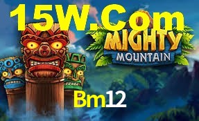 Tournaments Bm12
