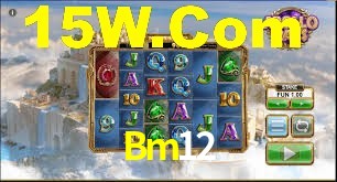Bm12 App Interface